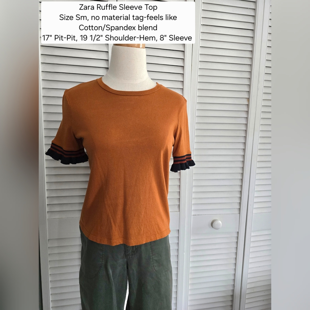 Zara Ruffle Sleeve Top